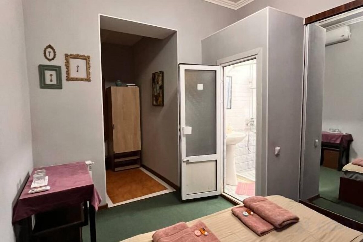 Desk, laptop workspace, iron/ironing board (on request), free WiFi