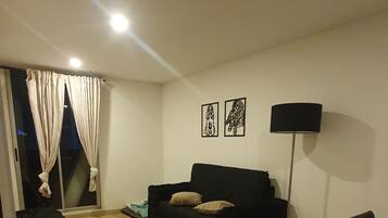 智能电视、书、音乐库、立体声音响