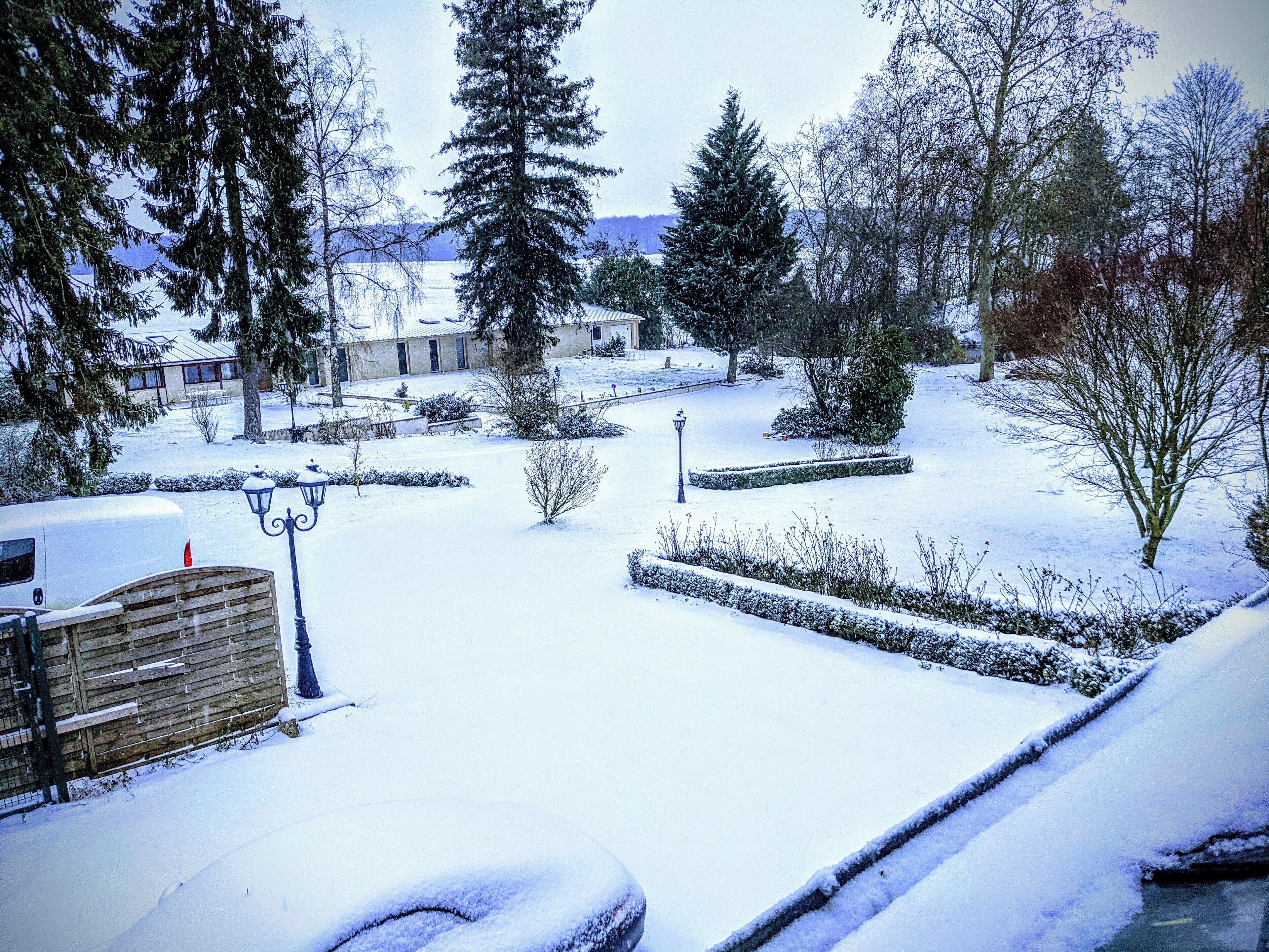 A snowy residential area with a house, a wooden fence, and snow-covered trees.