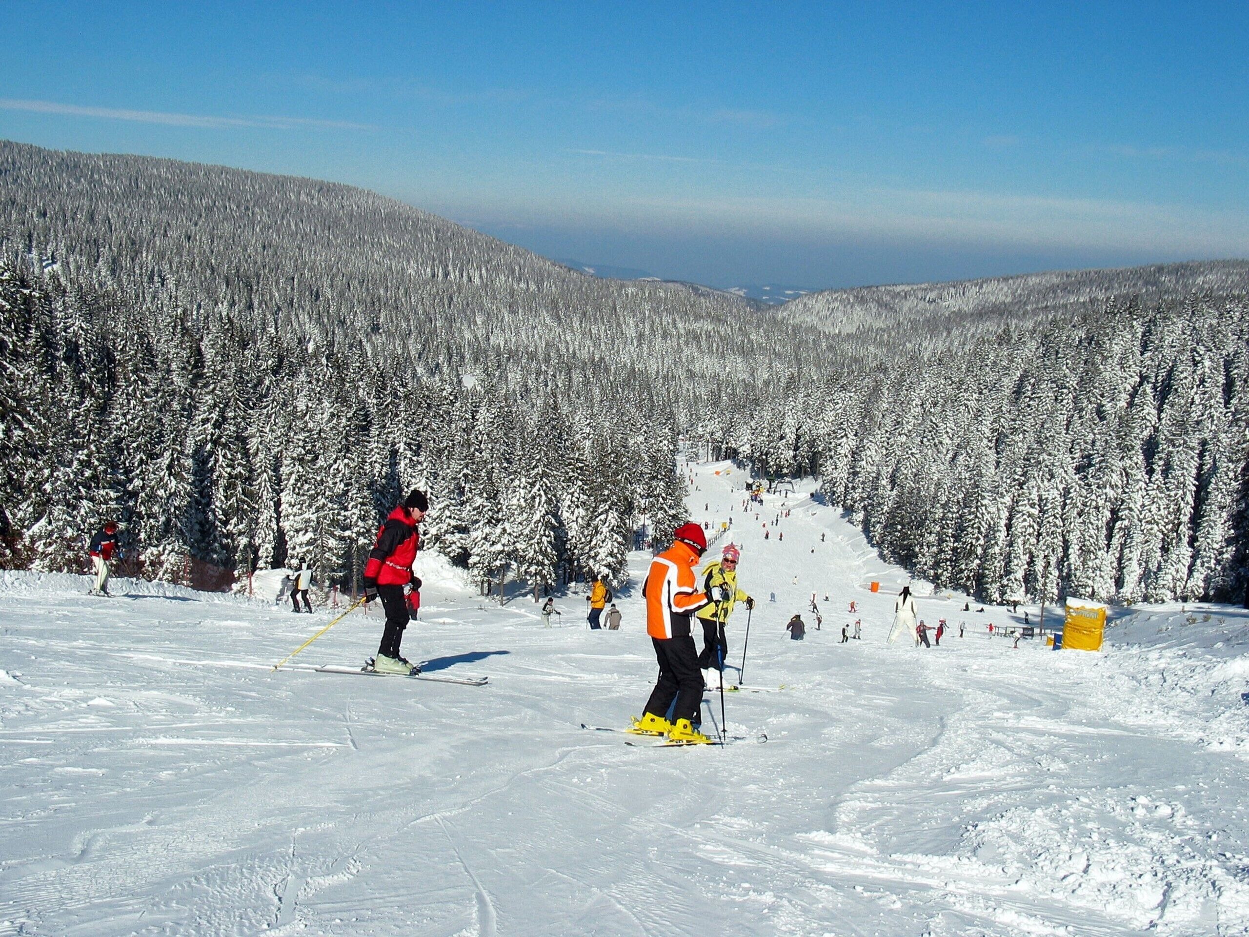 A snowy ski slope with skiers and a forested mountain backdrop.