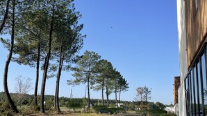A building with a wooden exterior and large windows, surrounded by a grassy area with picnic tables and trees. - B&B HOTEL Saint-Geours-De-Maremne Hossegor (Saint-Geours-de-Maremne)