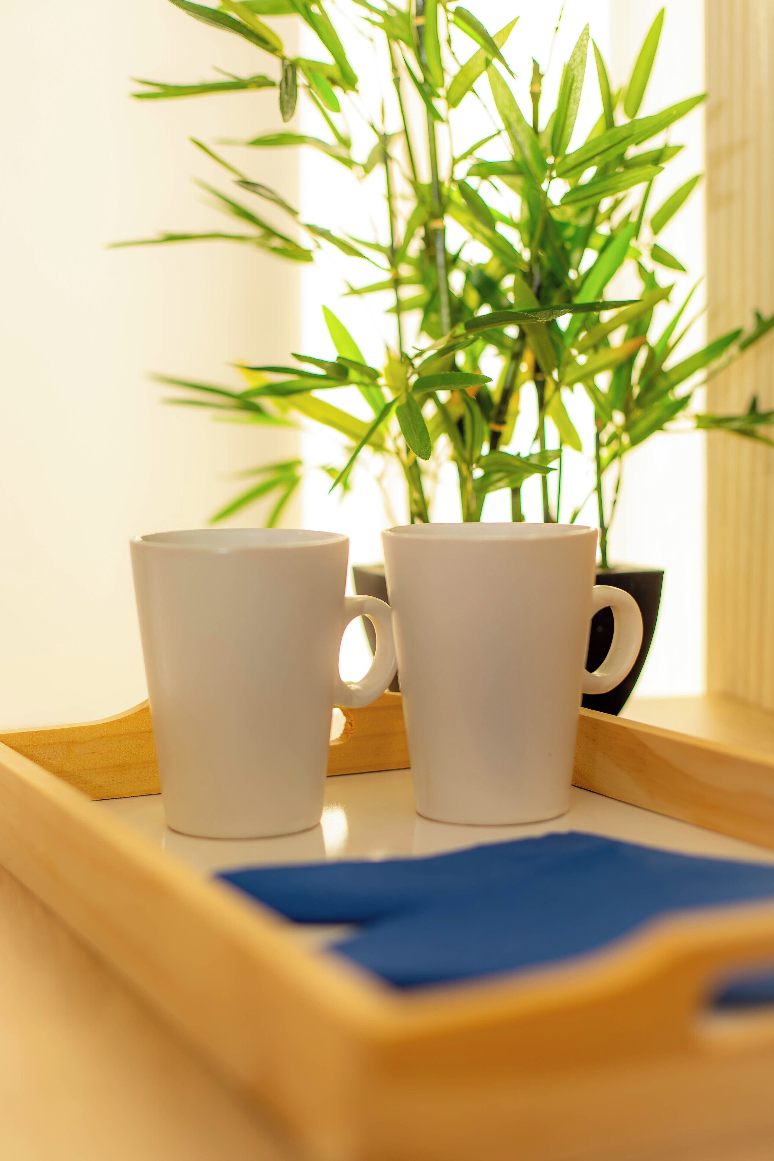 Photo - Ventura Premium