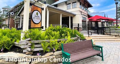 Steps From The Slopes Ski In Out Hot Tub Village