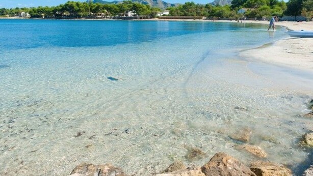 A beach with clear shallow water, a sandy shore, and a backdrop of trees and hills.