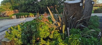 Colac Otway Caravan & Cabin Park