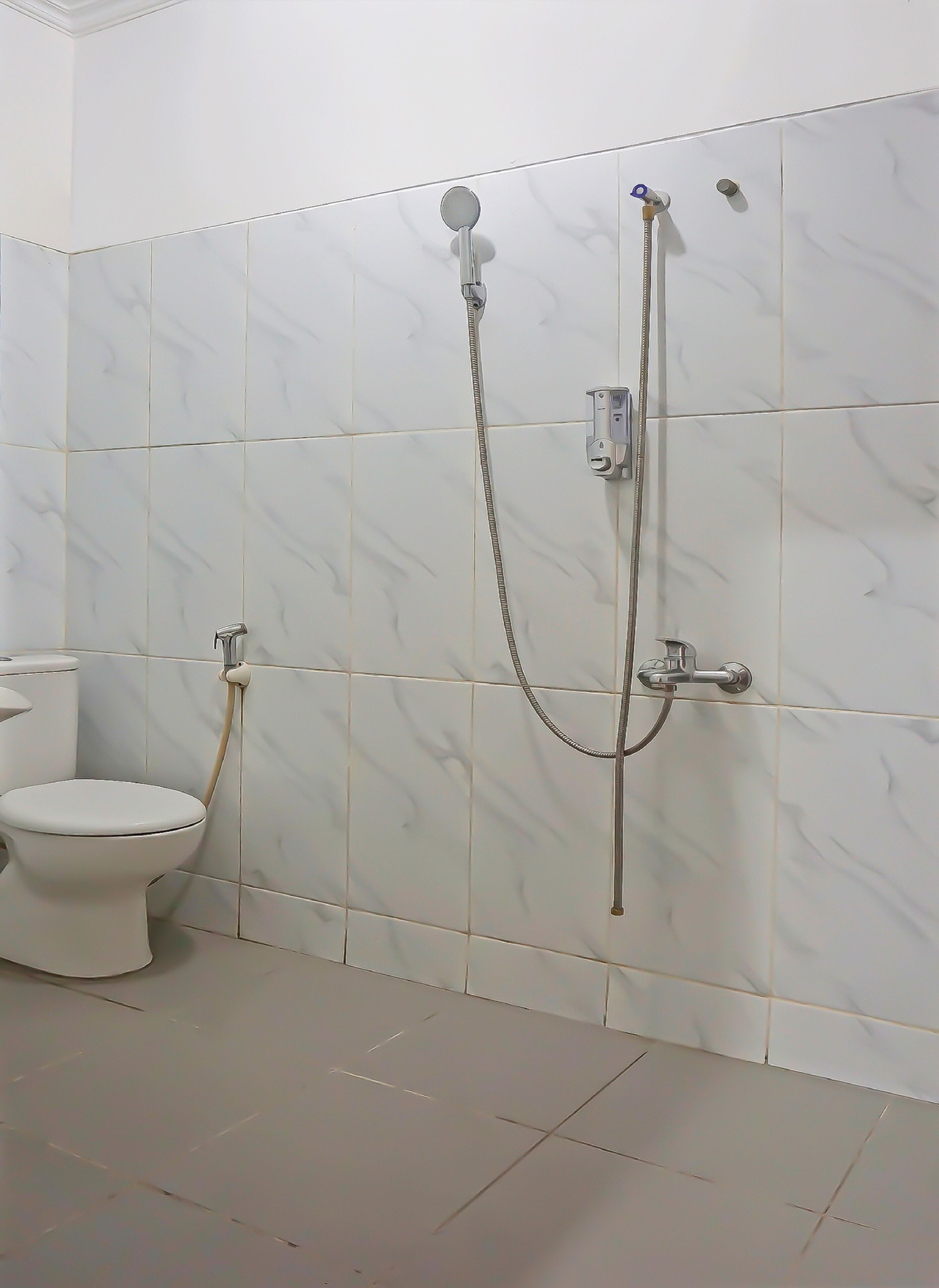 A bathroom with a toilet, a shower with a handheld showerhead, and a wall-mounted faucet.