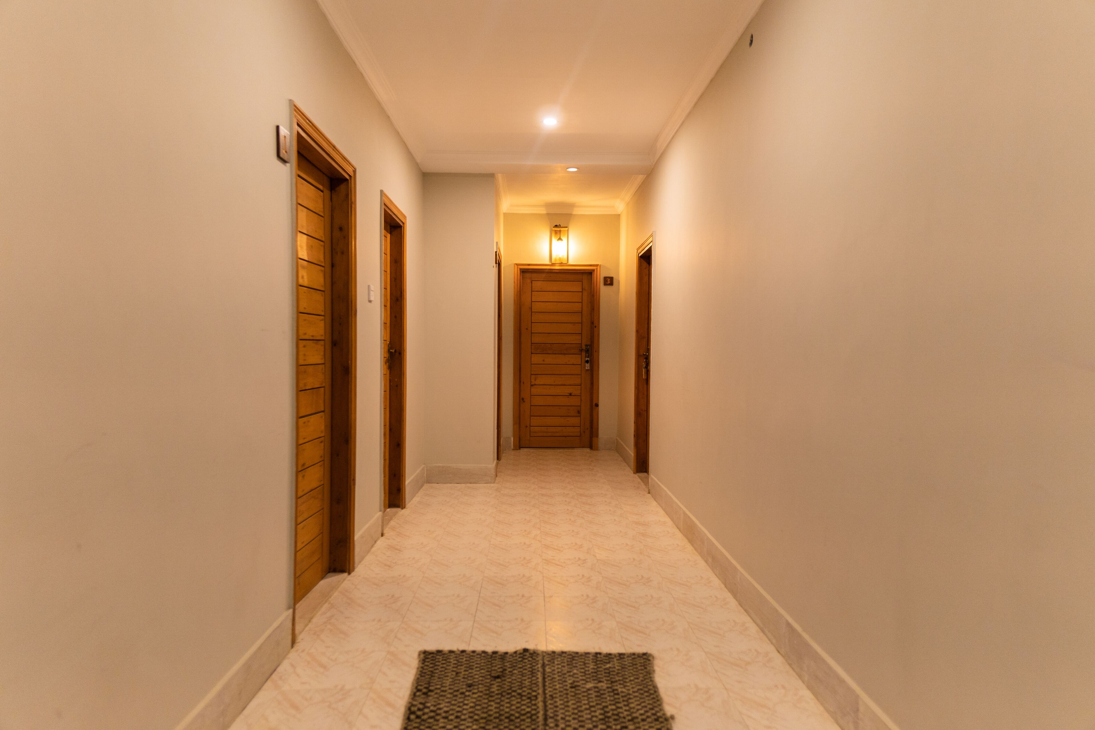 Un couloir avec une porte en bois au fond, un luminaire au plafond et un tapis sur le sol.