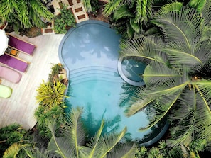 Piscine extérieure, parasols de plage, chaises longues