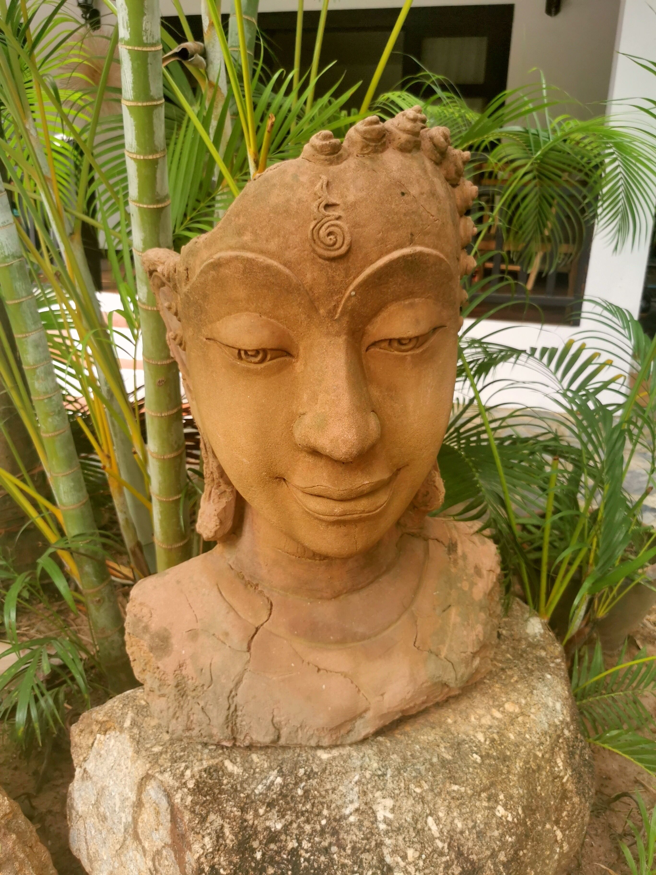 A stone sculpture of a face with a spiral design on the forehead, surrounded by green plants.