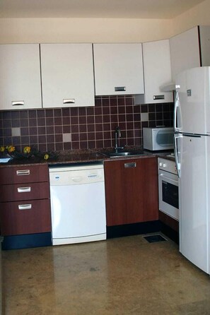 Full-size fridge, microwave, oven, dishwasher - City Suite Hotel-Aley (Aley)