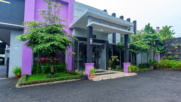 A modern building with a purple facade, a covered entrance, and a well-maintained garden with potted plants.