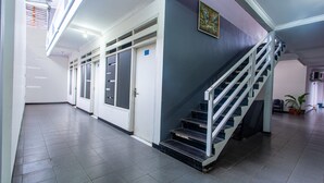 A hallway with a staircase, doors, and a potted plant.