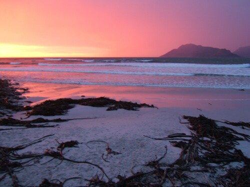 Tree House by the Ocean