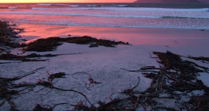 Tree House by the Ocean