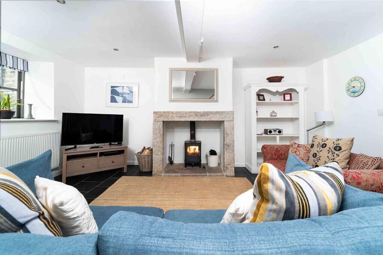 Smart TV, fireplace, books