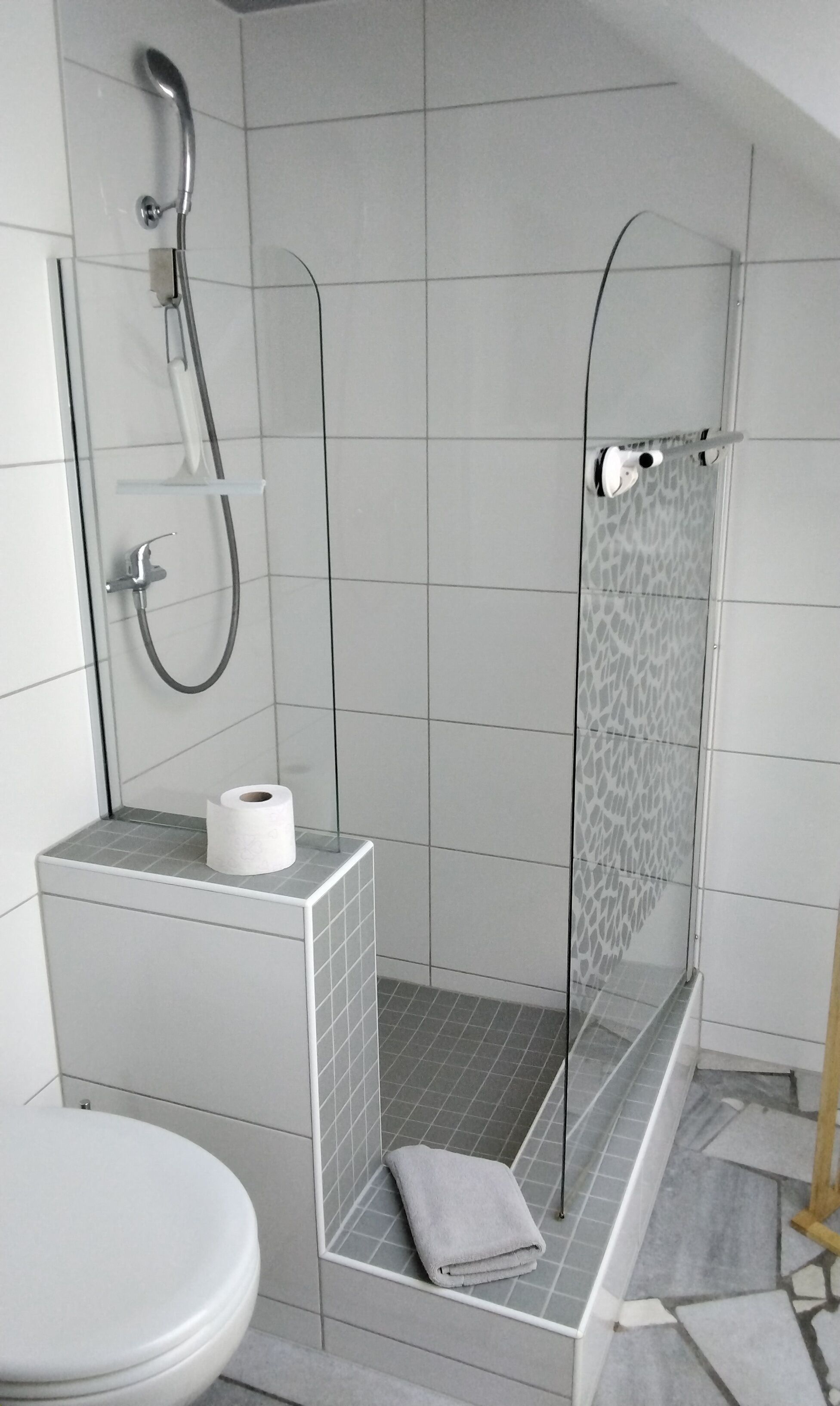 Dusche, Haartrockner, Handtücher, Toilettenpapier