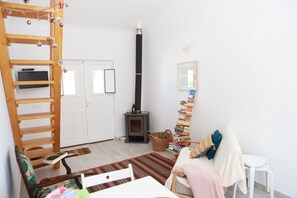 Smart TV, fireplace, books