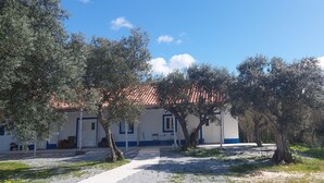 A building with a tiled roof, surrounded by olive trees and a gravel path. - Refúgio no Campo. A tranquilidade tão próxima da cidade, no coração do Alentejo. (Évora)