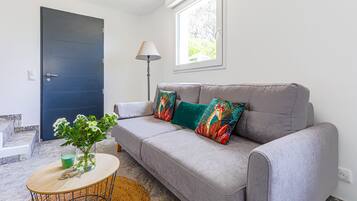 Smart TV, ping pong, books, music library