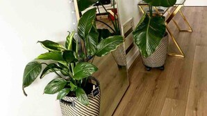 Eenvoudig appartement, 1 queensize bed met slaapbank | Interieur