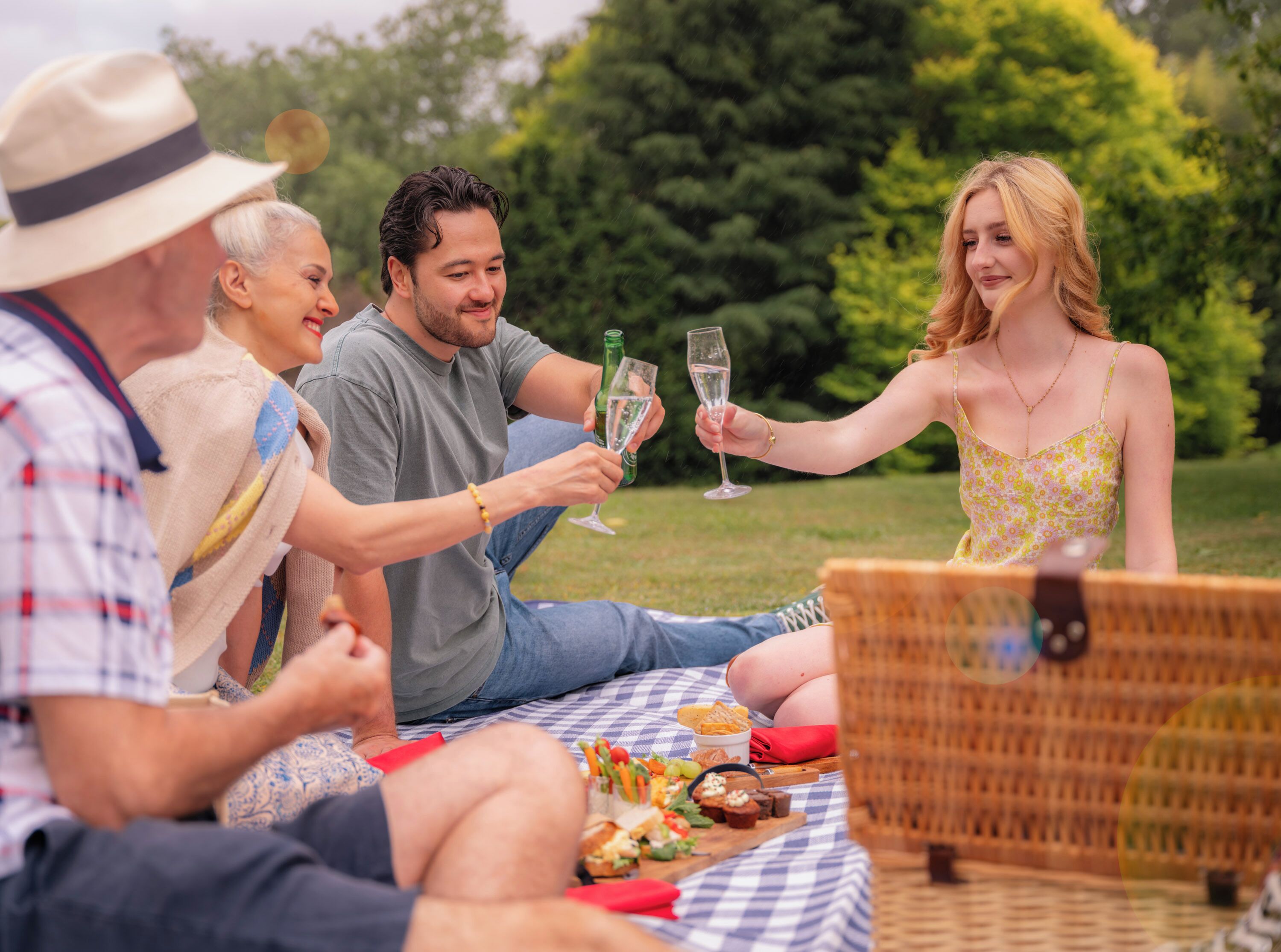 A group of people sitting on a checkered blanket outdoors, toasting with champagne glasses.