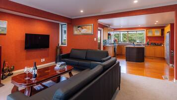 Luxury Villa | Television