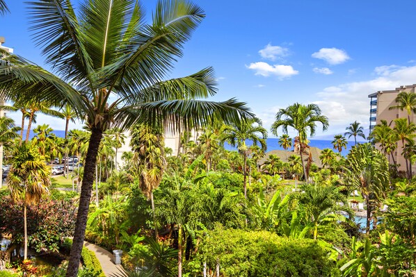 A lush tropical garden with palm trees and a pathway leading to a pool area.