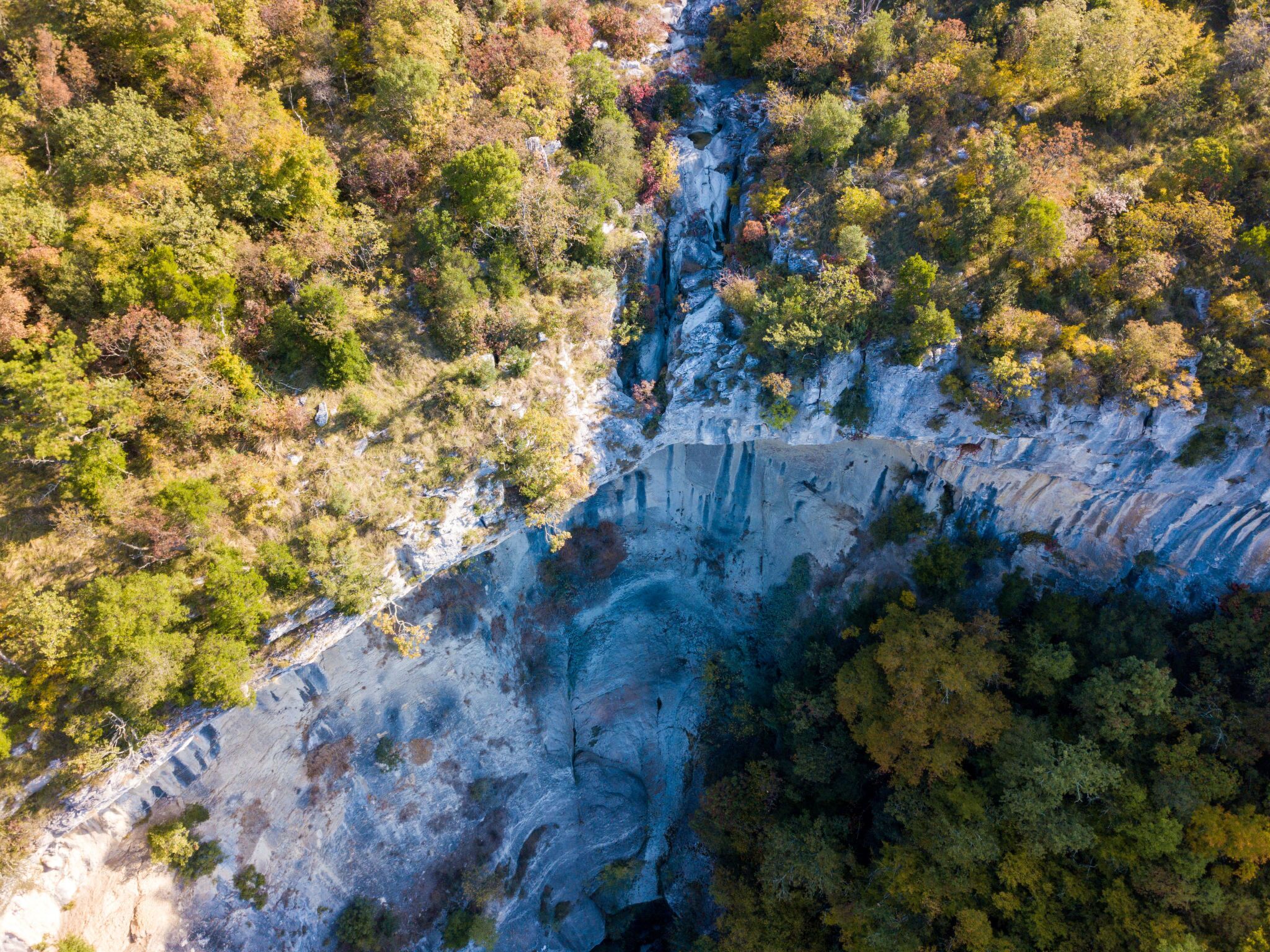 Vista aerea di un canyon con un fiume che lo attraversa, circondato da fitta foresta.