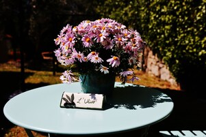 Comfort Room | Terrace/patio