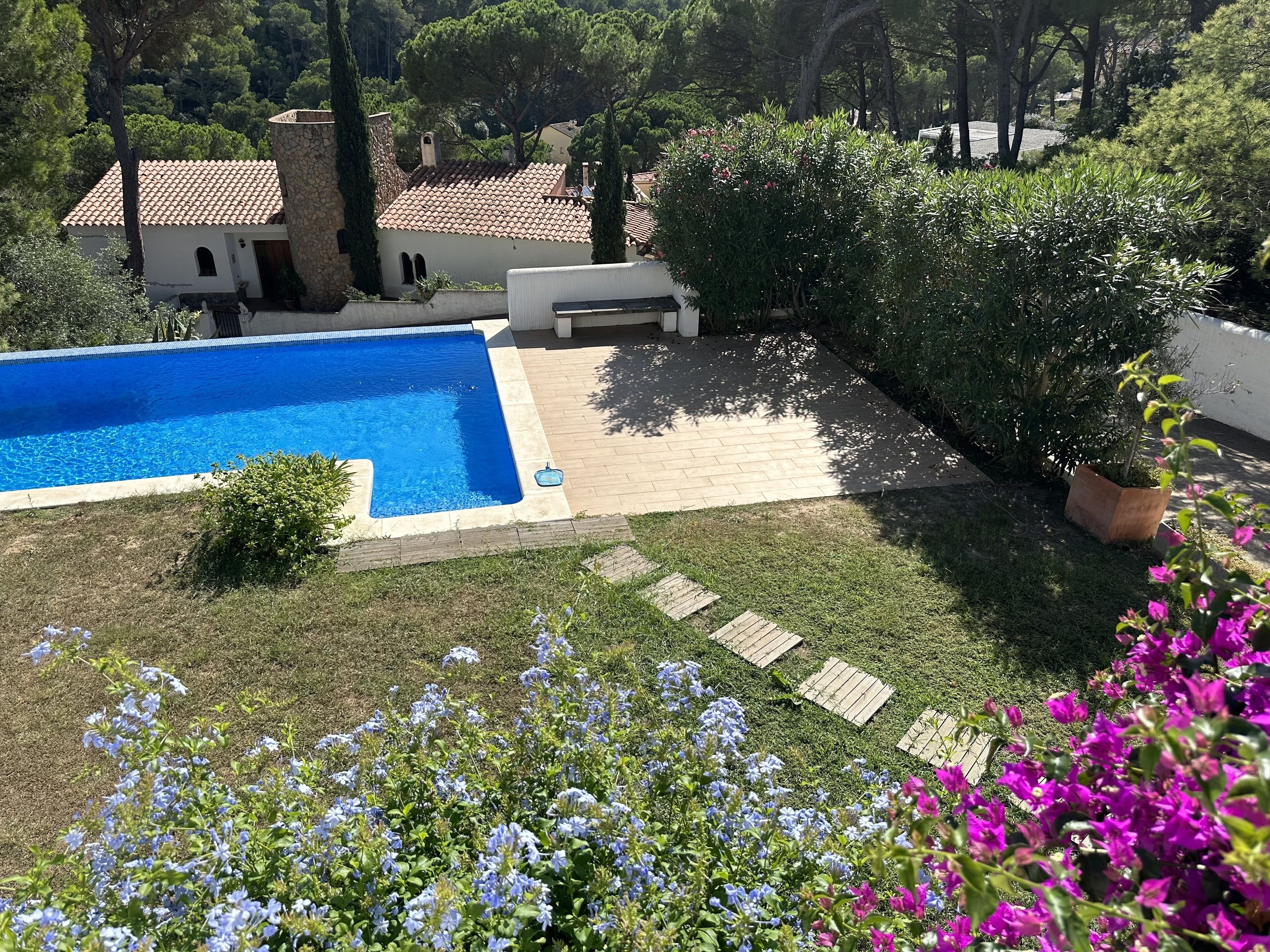 Une piscine entourée d’un jardin où poussent différentes plantes et fleurs.