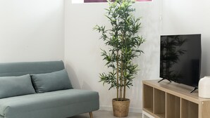 Un salon avec un canapé de couleur turquoise, une plante en bambou dans un pot en osier et un téléviseur posé sur un meuble en bois.