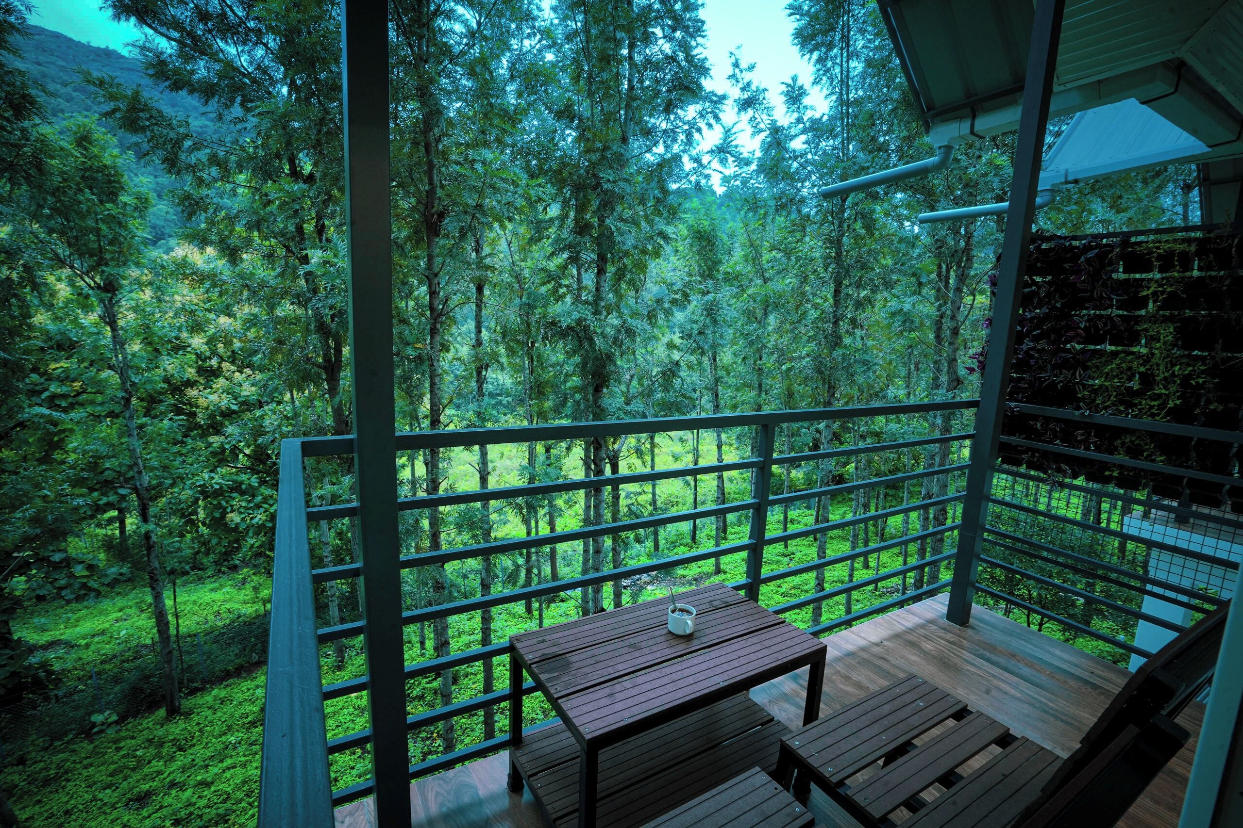 프리미엄 더블룸 | 발코니 전망