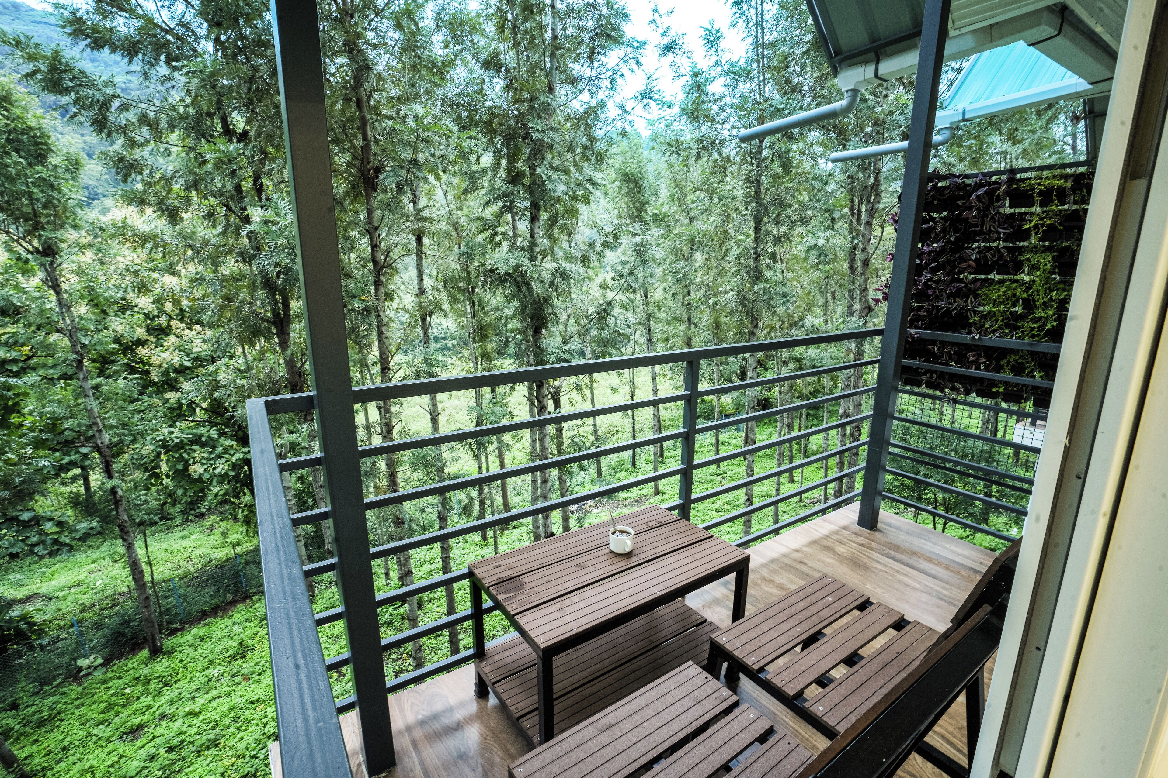 Deluxe Double Room | Balcony view