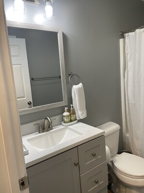 Shower, hair dryer, towels, soap - Downtown / newly remodeled 3bed/2bath home. (Chattanooga)