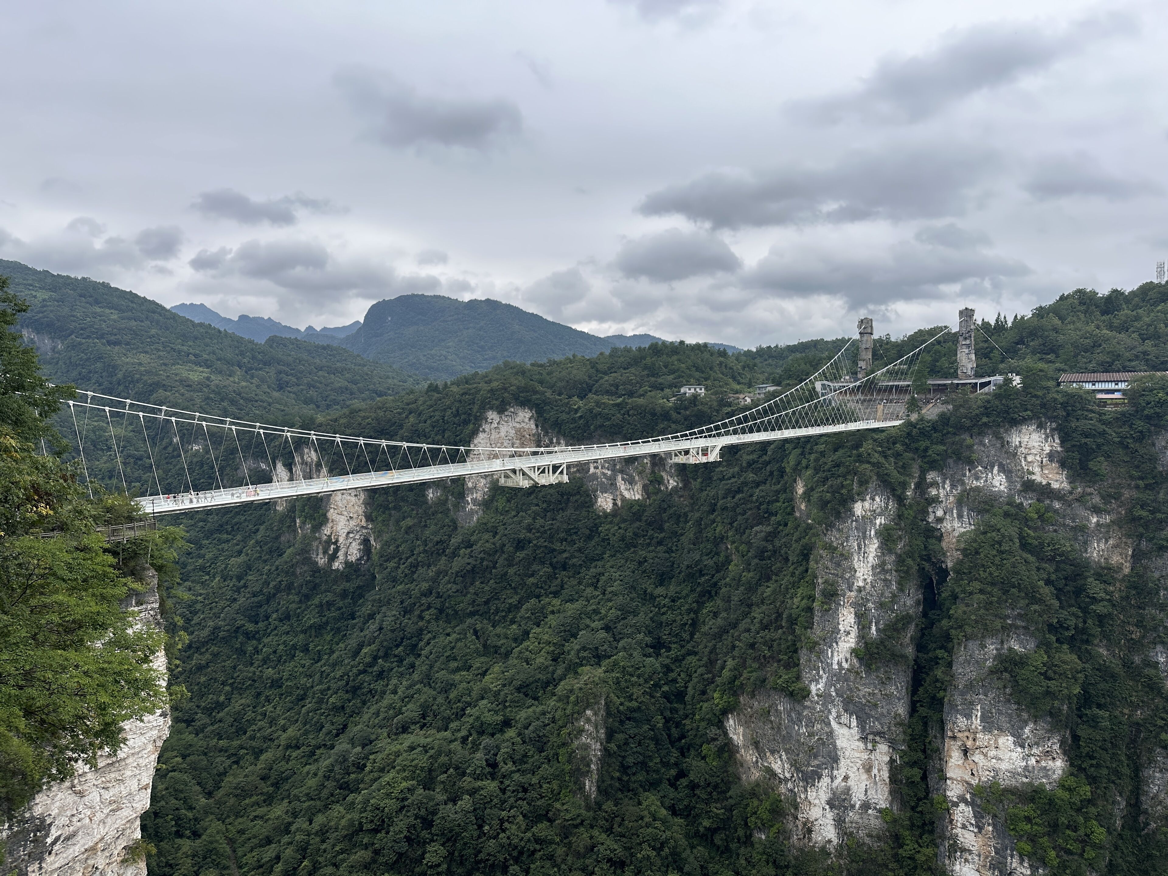 Un puente colgante sobre un profundo desfiladero, con acantilados escarpados y un bosque denso.