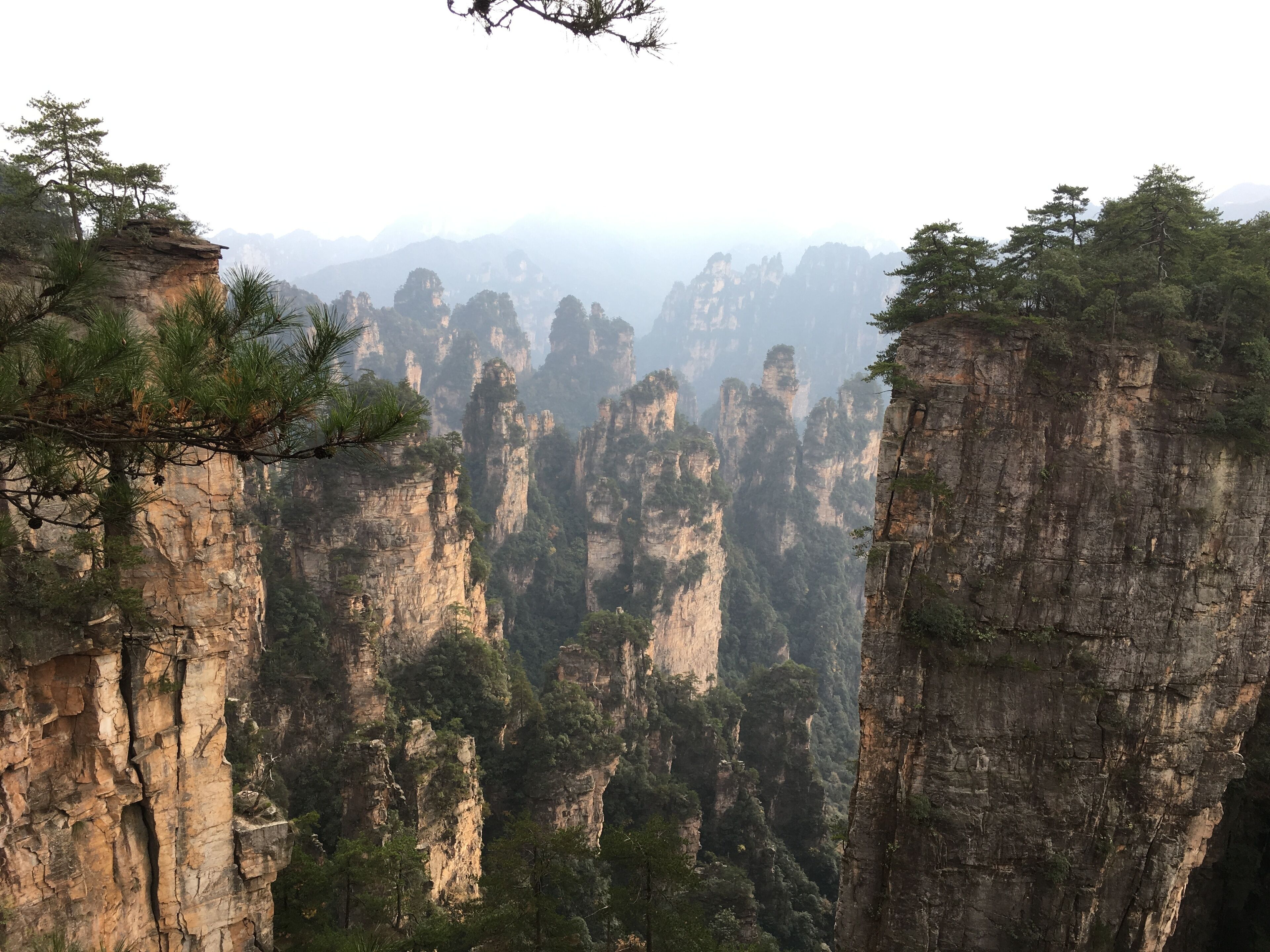 Un paisaje montañoso con imponentes formaciones rocosas y un denso bosque.