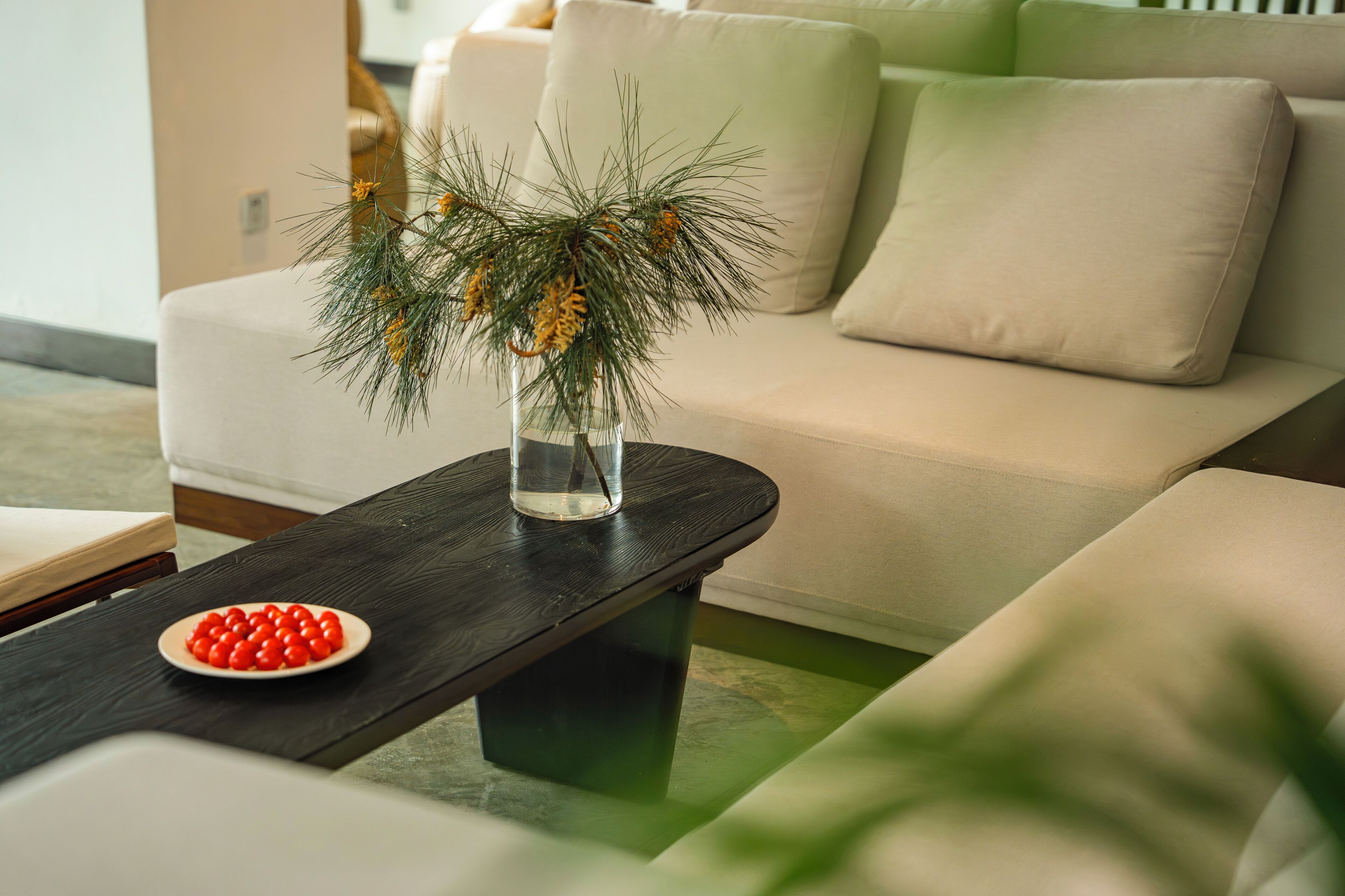 A living room with a sofa, a coffee table with a vase of pine branches, and a plate of red berries.