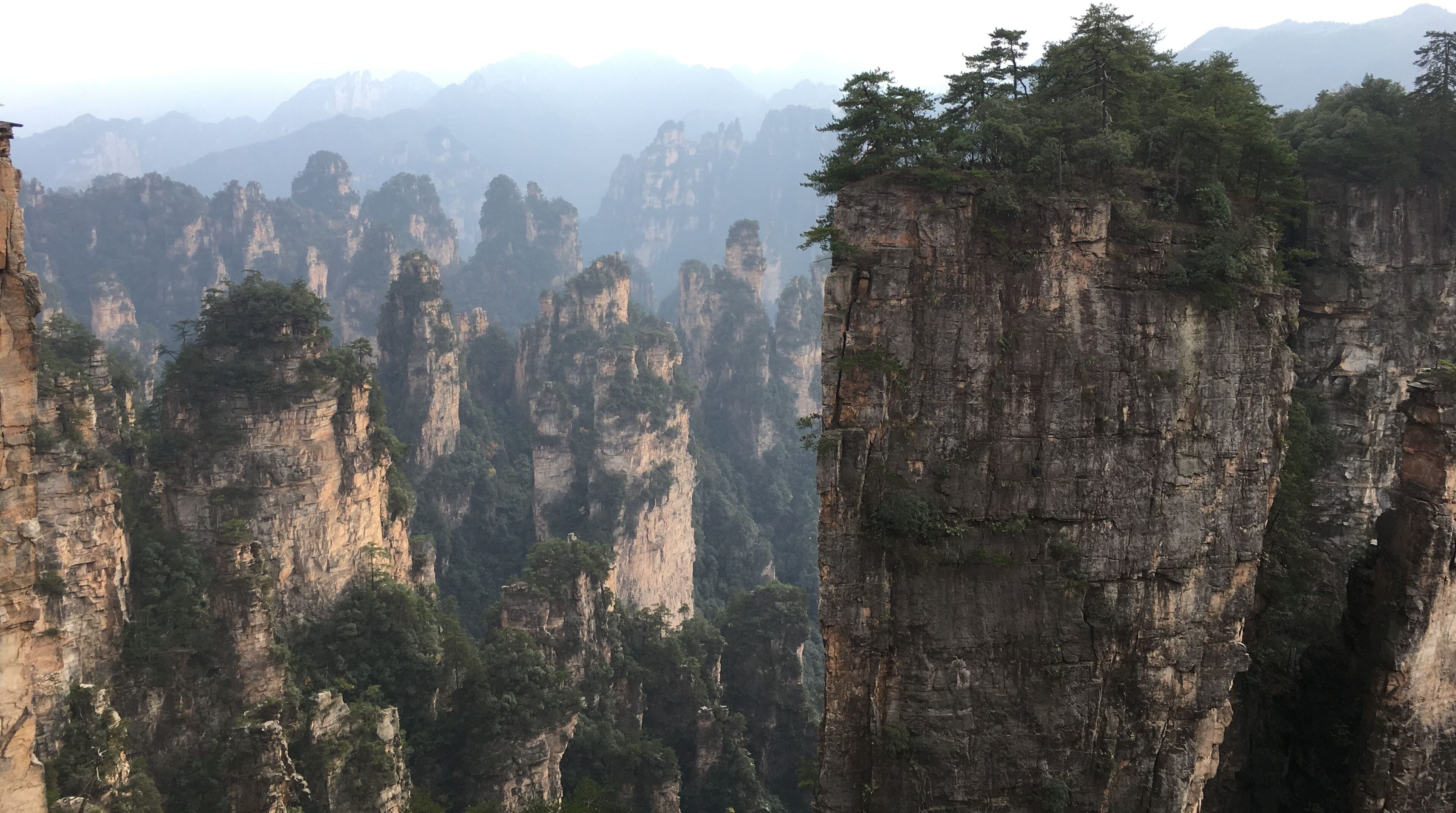 A panoramic view of towering limestone cliffs with dense forest vegetation.