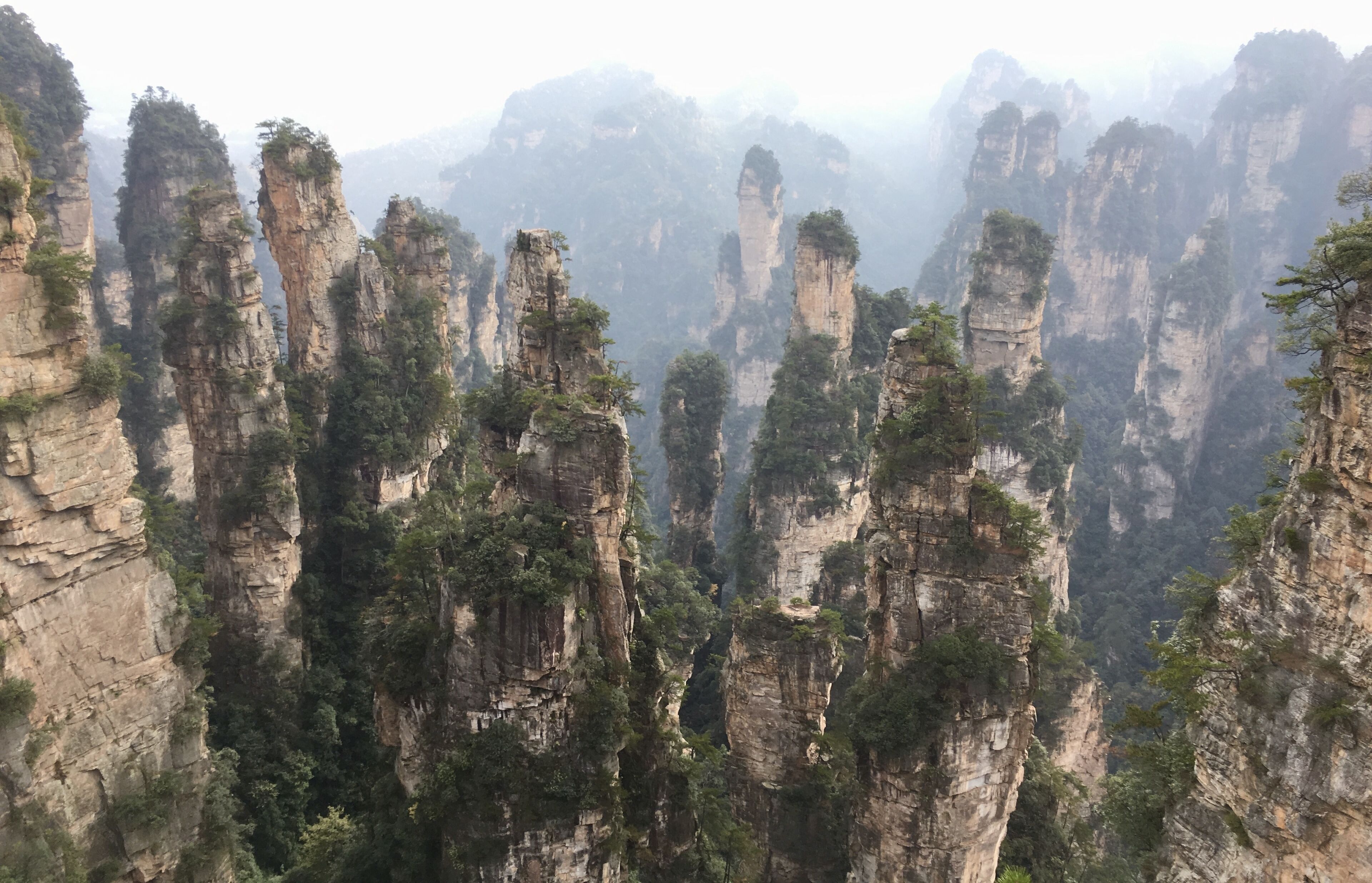 山景