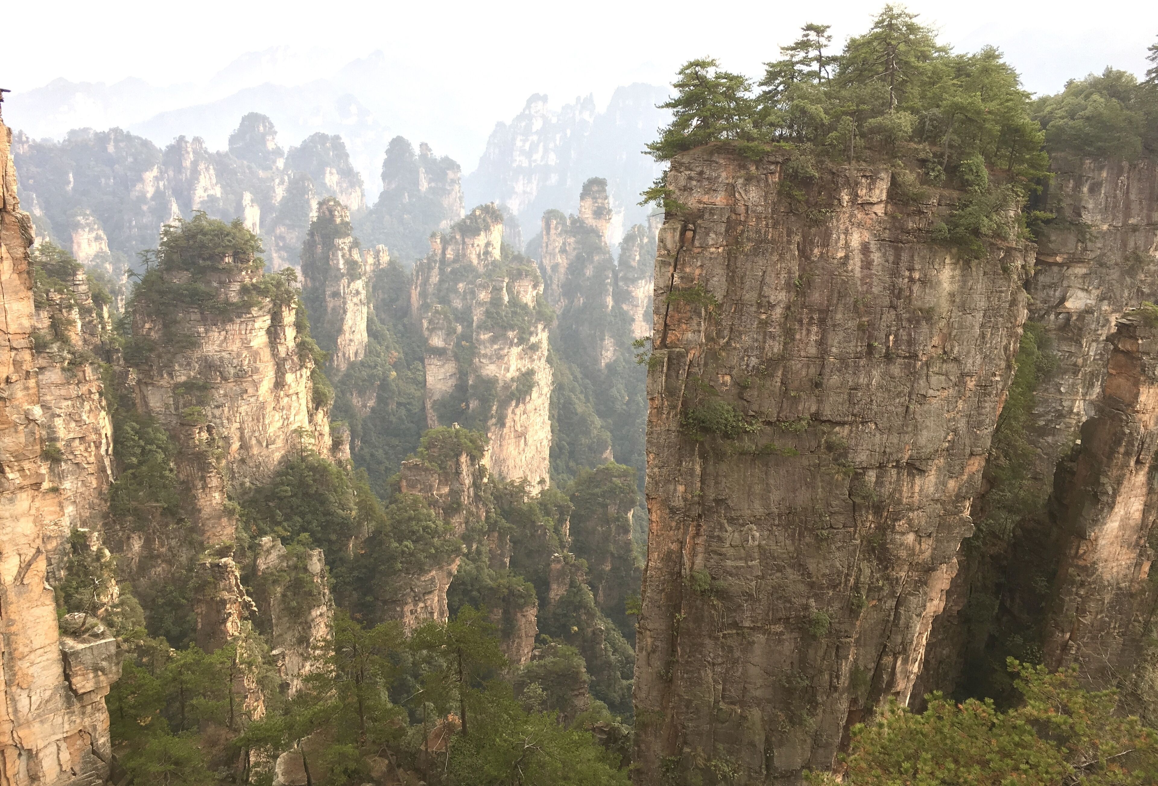 Un paysage montagneux caractérisé par d’imposantes formations rocheuses et une forêt dense.