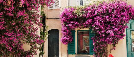 Détail de l’extérieur