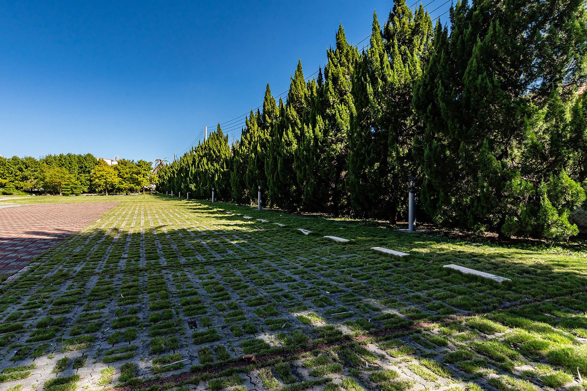Une zone dallée avec de l’herbe, entourée de grands arbres et de lignes électriques.