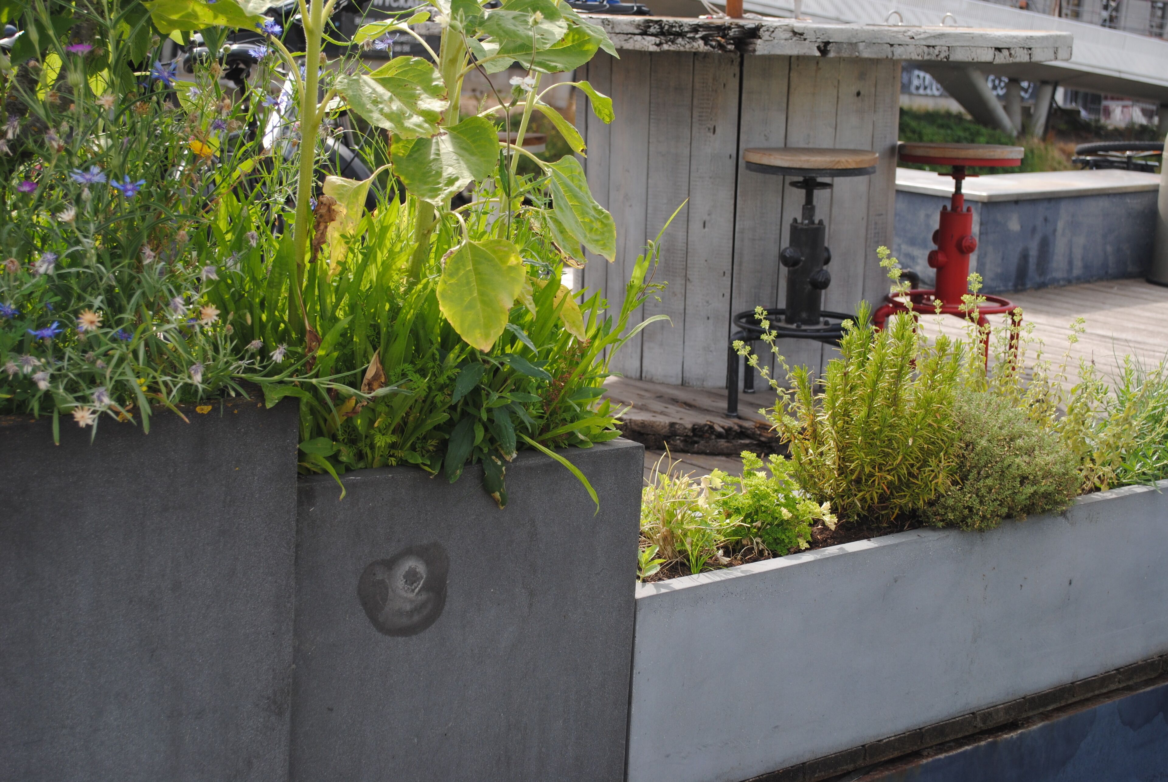 Enceinte de l’hébergement
