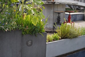 Terrein van de accommodatie