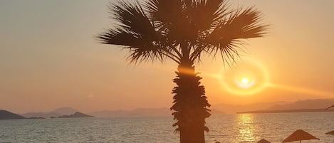 Una spiaggia nelle vicinanze, lettini da mare