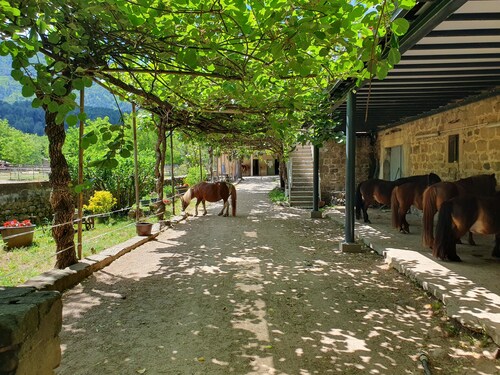 Gîte au cœur d'une ferme équestre en bord de rivière et piscine 