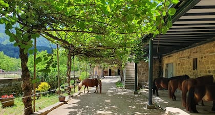 GĂźte au CĆur D'un Centre Ăquestre