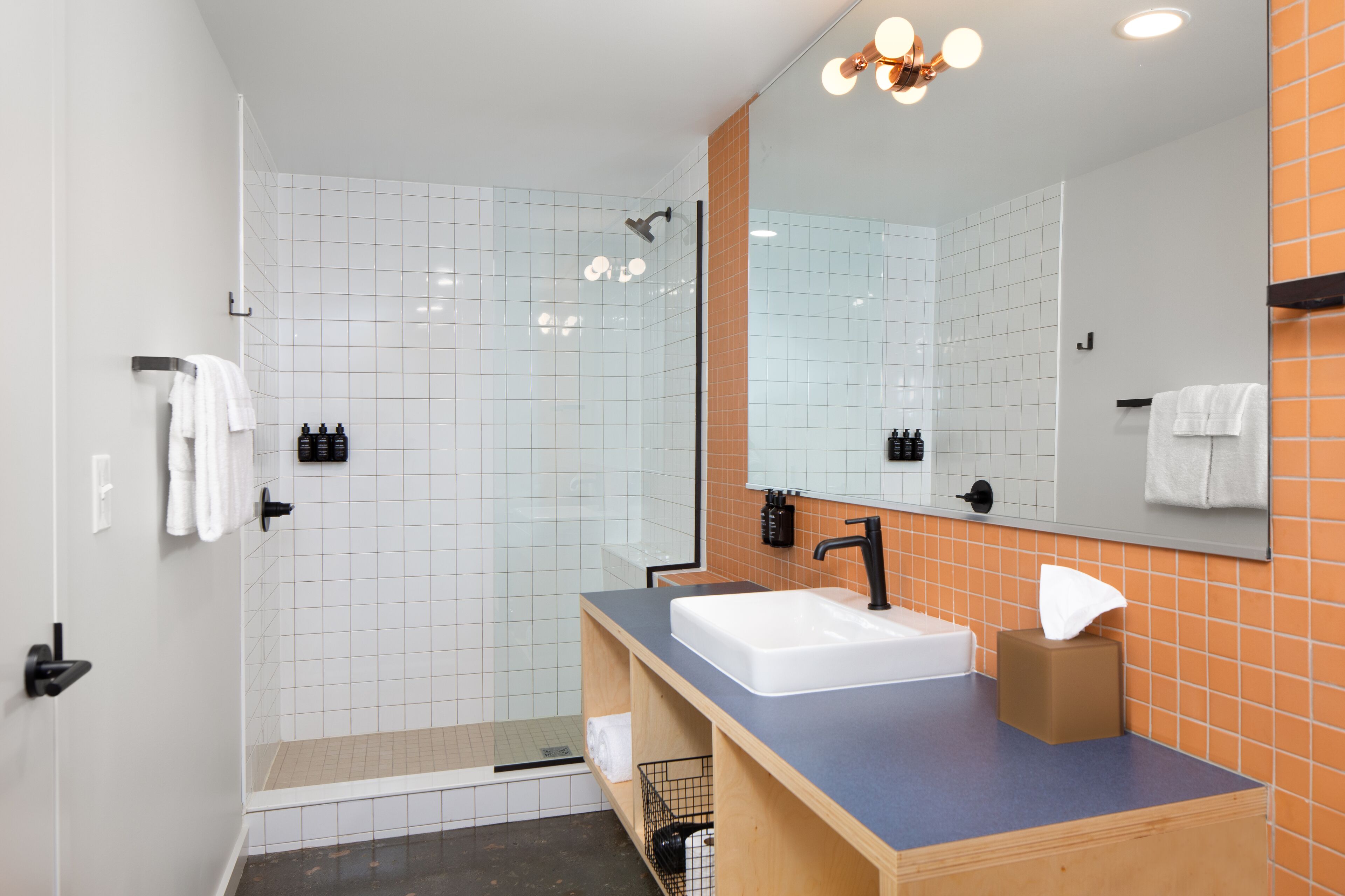 A modern bathroom with a shower, sink, and mirror.