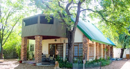 Open Plan House in a Spacey Yard