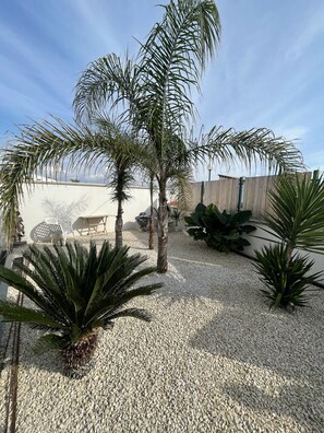 Terrace/patio - Villa dodó, pool, hammocks and relaxation (Seccagrande)